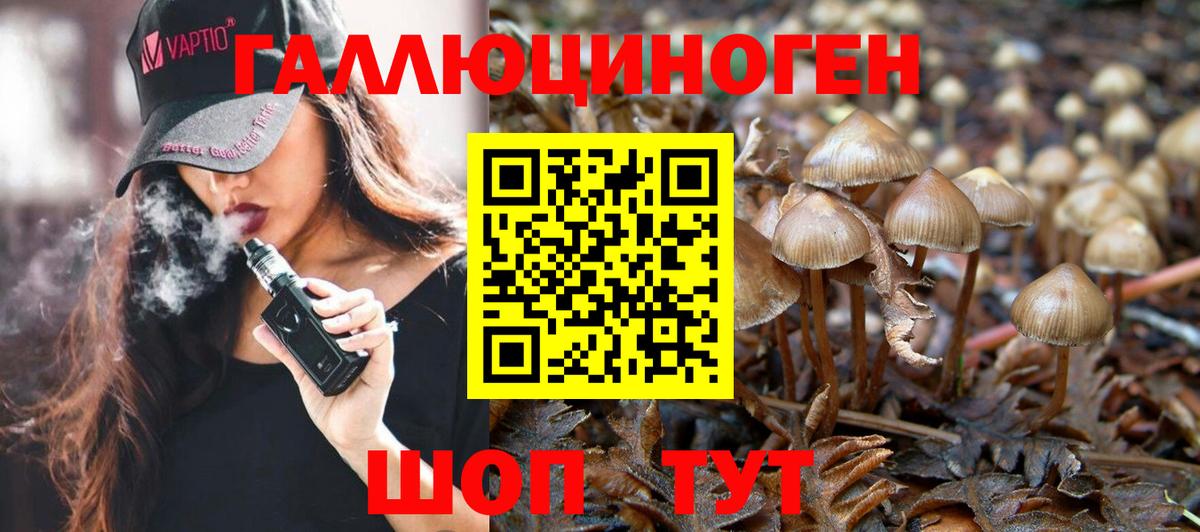 Киселёвск  Псилоцибиновые грибы Psilocybine cubensis  Вход с VPN  Псилоцибиновые грибы MAGIC MUSHROOMS 